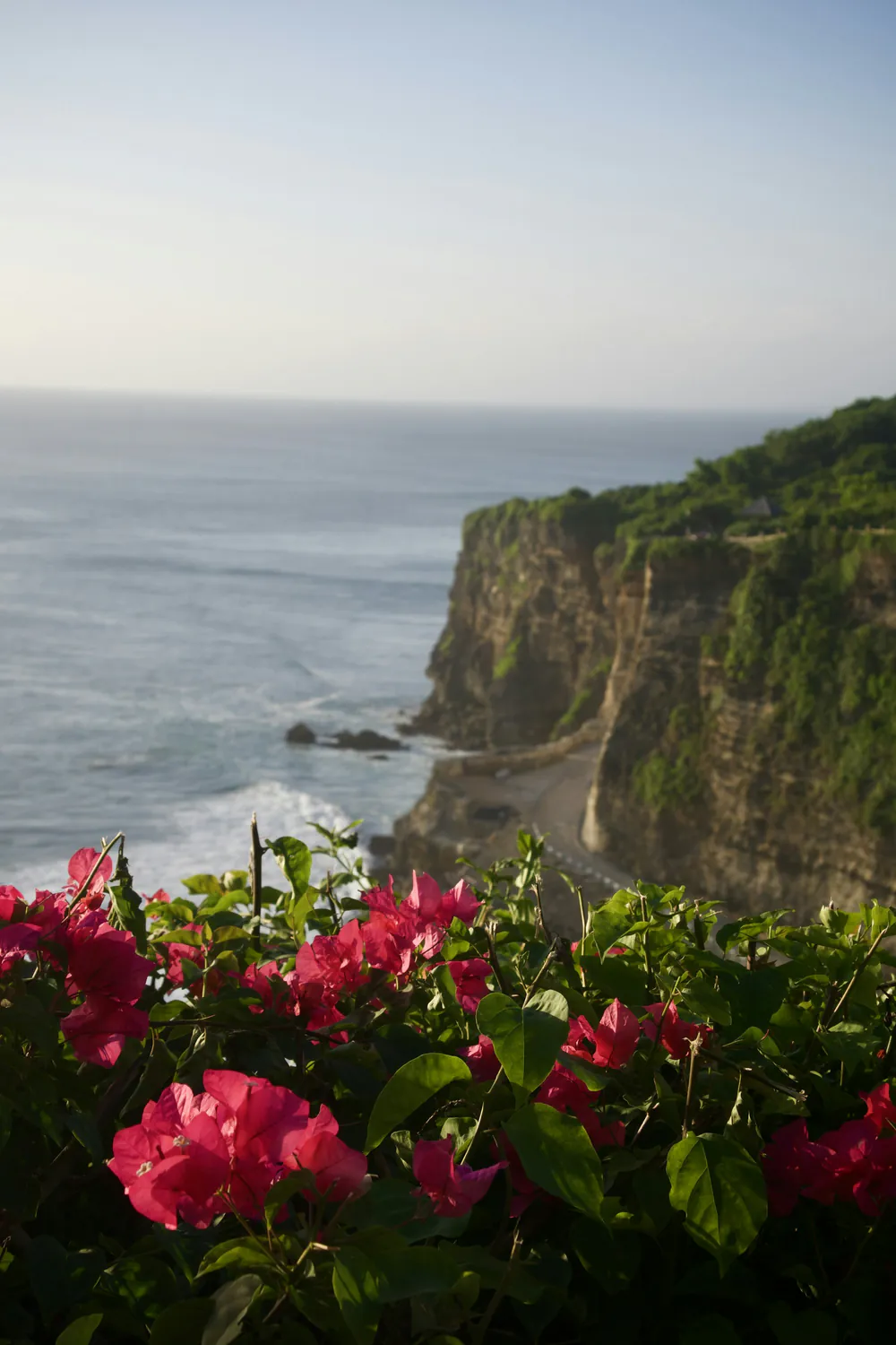 Uluwatu cliffs above the sea with red flowers in the foreground